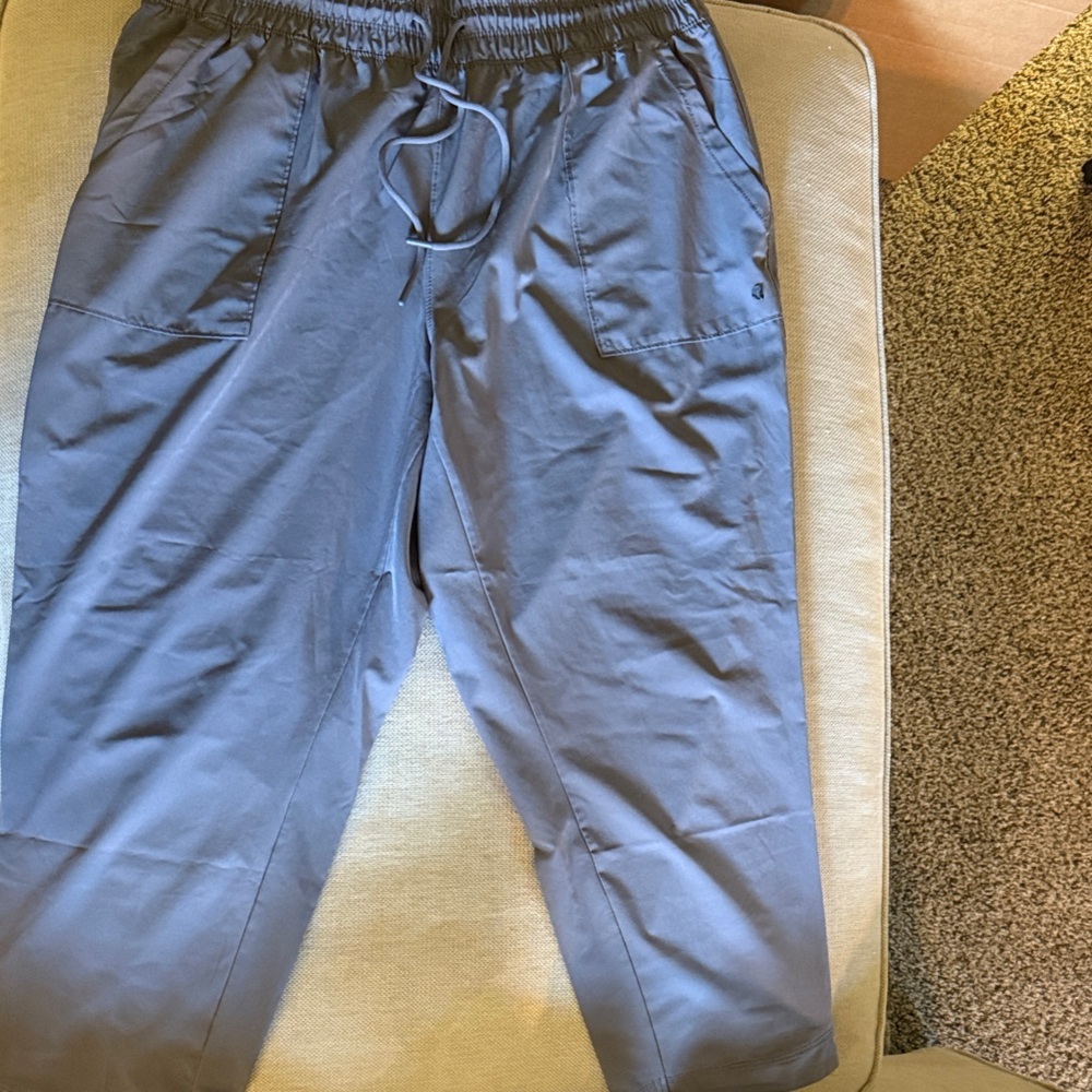 Apana women’s Gray Joggers